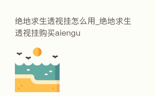 絕地求生透視掛怎么用_絕地求生透視掛購買aiengu