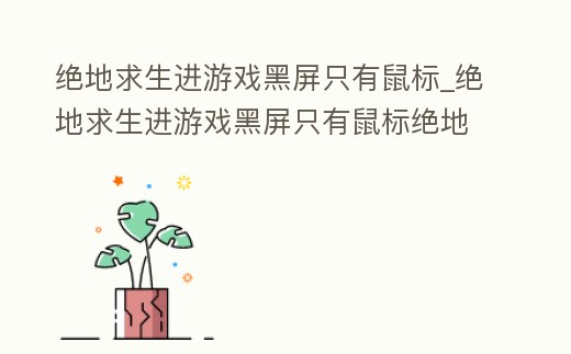 絕地求生進游戲黑屏只有鼠標_絕地求生進游戲黑屏只有鼠標絕地求生黑屏只顯示DP輸入