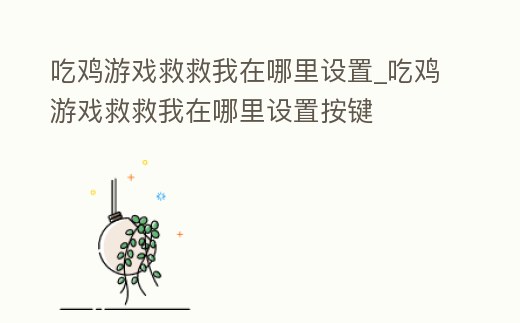 吃雞游戲救救我在哪里設置_吃雞游戲救救我在哪里設置按鍵