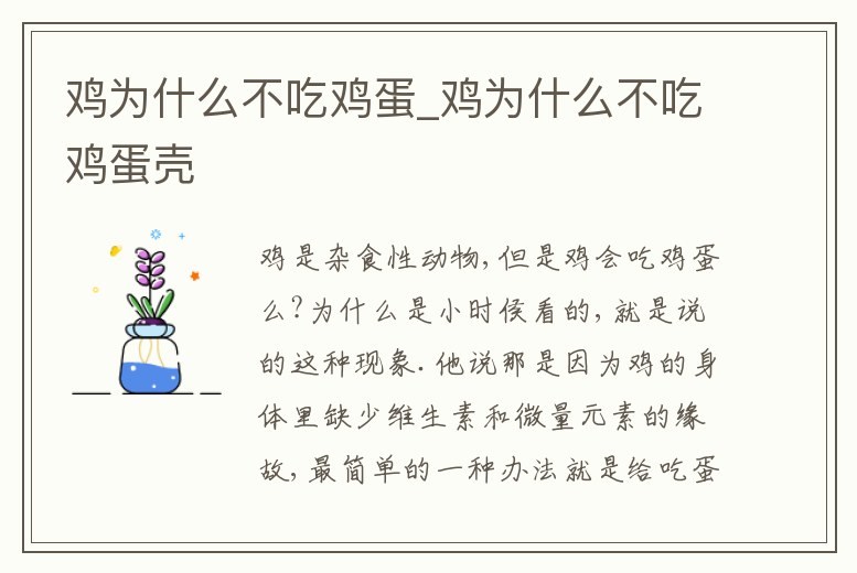 雞為什么不吃雞蛋_雞為什么不吃雞蛋殼