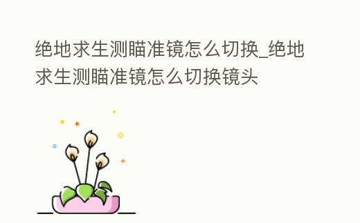 絕地求生測瞄準鏡怎么切換_絕地求生測瞄準鏡怎么切換鏡頭