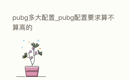 pubg多大配置_pubg配置要求算不算高的