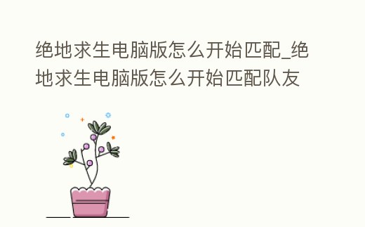 絕地求生電腦版怎么開始匹配_絕地求生電腦版怎么開始匹配隊友