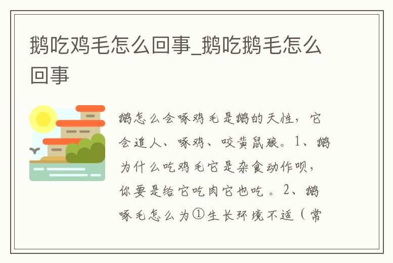 鵝吃雞毛怎么回事_鵝吃鵝毛怎么回事