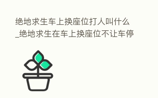 絕地求生車上換座位打人叫什么_絕地求生在車上換座位不讓車停