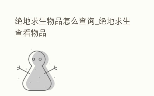 絕地求生物品怎么查詢_絕地求生查看物品