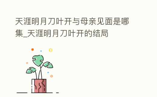 天涯明月刀葉開與母親見面是哪集_天涯明月刀葉開的結局