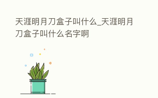 天涯明月刀盒子叫什么_天涯明月刀盒子叫什么名字啊