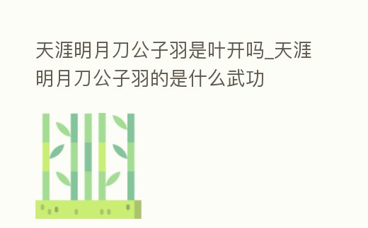 天涯明月刀公子羽是葉開嗎_天涯明月刀公子羽的是什么武功
