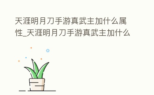 天涯明月刀手游真武主加什么屬性_天涯明月刀手游真武主加什么屬性的