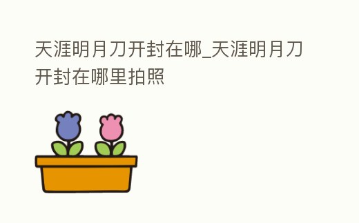 天涯明月刀開封在哪_天涯明月刀開封在哪里拍照