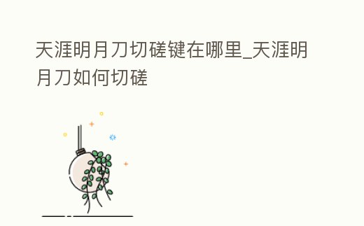 天涯明月刀切磋鍵在哪里_天涯明月刀如何切磋