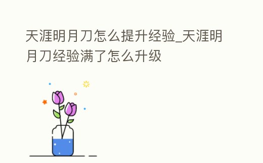 天涯明月刀怎么提升經(jīng)驗_天涯明月刀經(jīng)驗滿了怎么升級