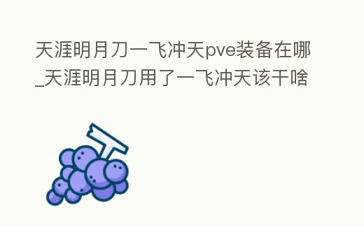 天涯明月刀一飛沖天pve裝備在哪_天涯明月刀用了一飛沖天該干啥