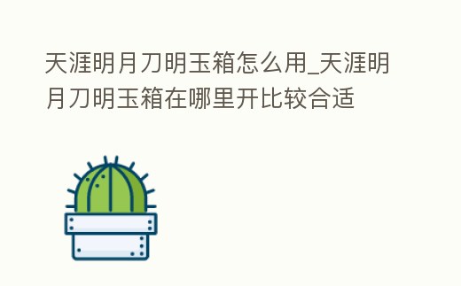 天涯明月刀明玉箱怎么用_天涯明月刀明玉箱在哪里開比較合適
