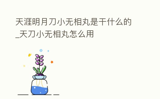 天涯明月刀小無相丸是干什么的_天刀小無相丸怎么用