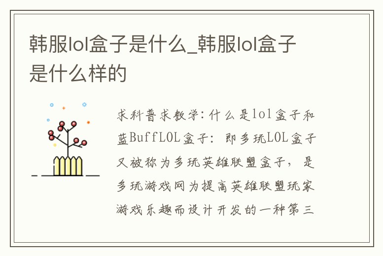 韓服lol盒子是什么_韓服lol盒子是什么樣的