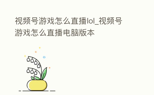 視頻號游戲怎么直播lol_視頻號游戲怎么直播電腦版本