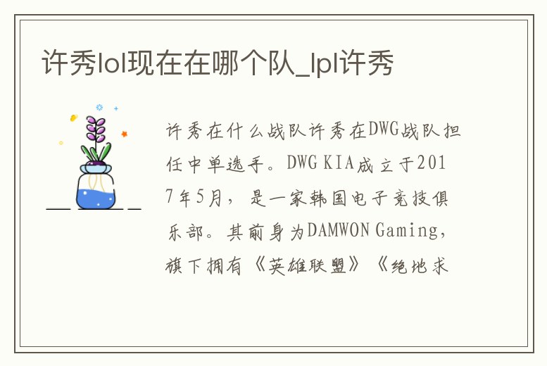 許秀lol現在在哪個隊_lpl許秀