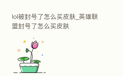 lol被封號了怎么買皮膚_英雄聯盟封號了怎么買皮膚