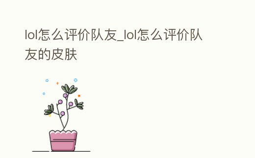 lol怎么評價隊友_lol怎么評價隊友的皮膚