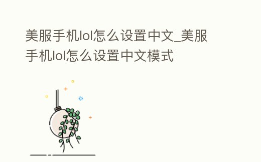 美服手機(jī)lol怎么設(shè)置中文_美服手機(jī)lol怎么設(shè)置中文模式