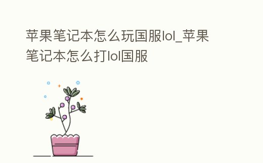 蘋果筆記本怎么玩國服lol_蘋果筆記本怎么打lol國服