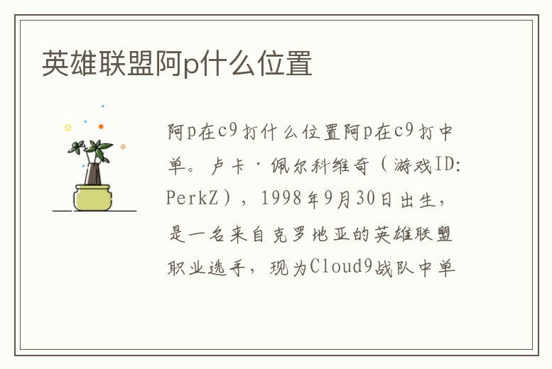 英雄聯盟阿p什么位置