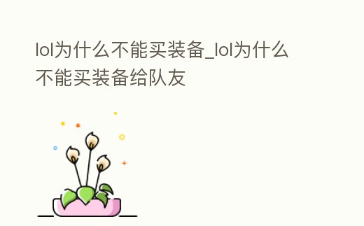 lol為什么不能買裝備_lol為什么不能買裝備給隊友