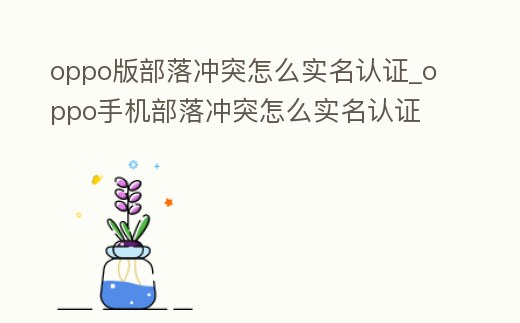oppo版部落沖突怎么實名認證_oppo手機部落沖突怎么實名認證
