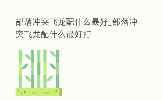 部落沖突飛龍配什么最好_部落沖突飛龍配什么最好打