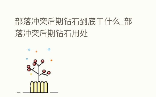 部落沖突后期鉆石到底干什么_部落沖突后期鉆石用處