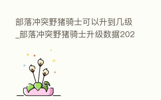 部落沖突野豬騎士可以升到幾級_部落沖突野豬騎士升級數據2021