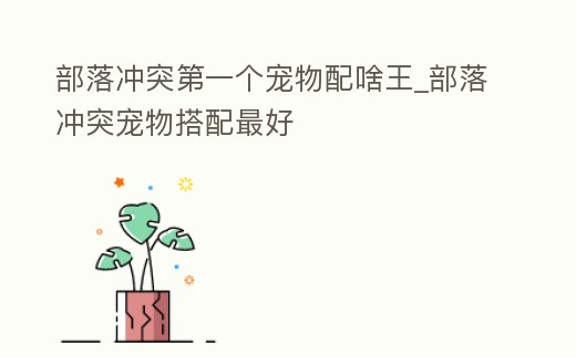 部落沖突第一個寵物配啥王_部落沖突寵物搭配最好