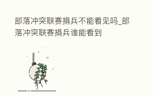 部落沖突聯賽捐兵不能看見嗎_部落沖突聯賽捐兵誰能看到
