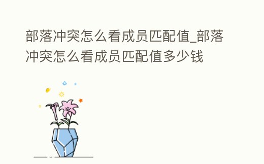 部落沖突怎么看成員匹配值_部落沖突怎么看成員匹配值多少錢