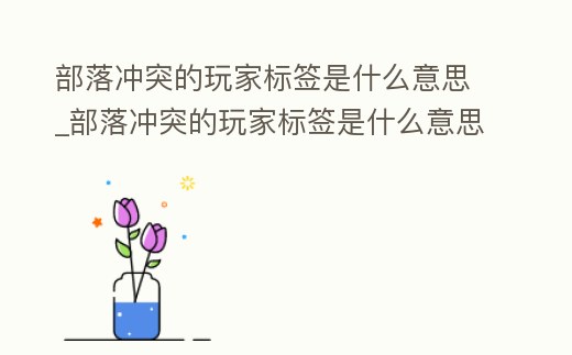 部落沖突的玩家標簽是什么意思_部落沖突的玩家標簽是什么意思呀