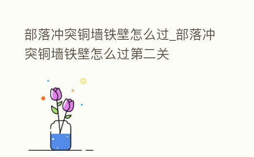 部落沖突銅墻鐵壁怎么過_部落沖突銅墻鐵壁怎么過第二關