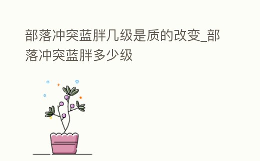 部落沖突藍胖幾級是質的改變_部落沖突藍胖多少級