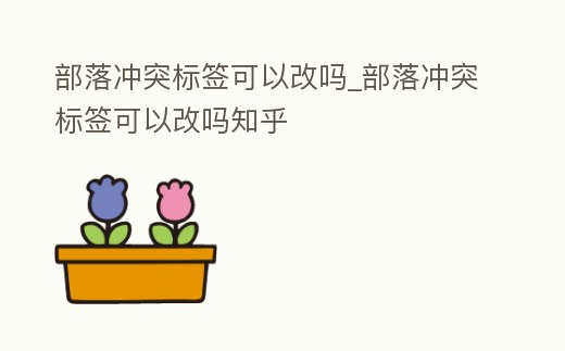 部落沖突標簽可以改嗎_部落沖突標簽可以改嗎知乎