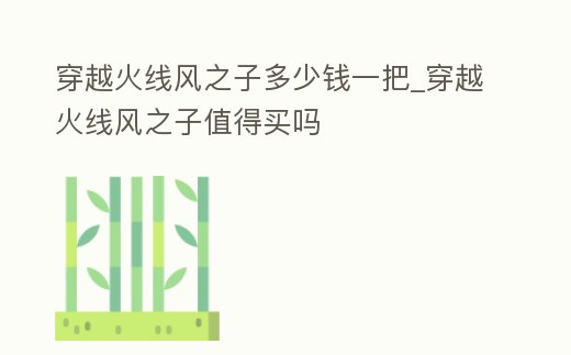 穿越火線風(fēng)之子多少錢一把_穿越火線風(fēng)之子值得買嗎