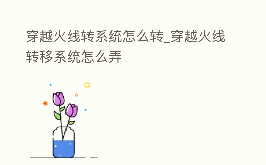 穿越火線轉(zhuǎn)系統(tǒng)怎么轉(zhuǎn)_穿越火線轉(zhuǎn)移系統(tǒng)怎么弄