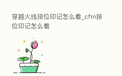 穿越火線排位印記怎么看_cfm排位印記怎么看