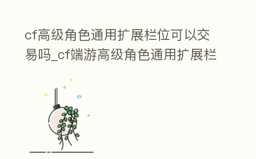 cf高級角色通用擴展欄位可以交易嗎_cf端游高級角色通用擴展欄位有什么用