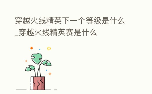 穿越火線精英下一個等級是什么_穿越火線精英賽是什么