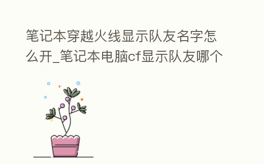 筆記本穿越火線顯示隊(duì)友名字怎么開_筆記本電腦cf顯示隊(duì)友哪個(gè)鍵