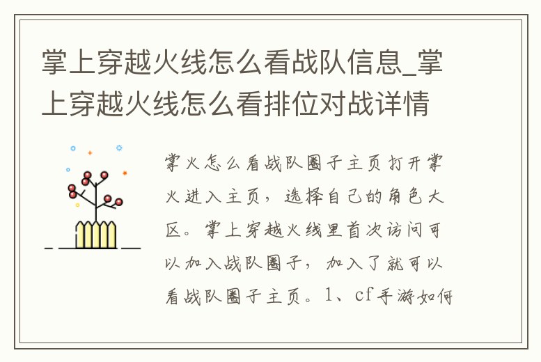掌上穿越火線怎么看戰隊信息_掌上穿越火線怎么看排位對戰詳情