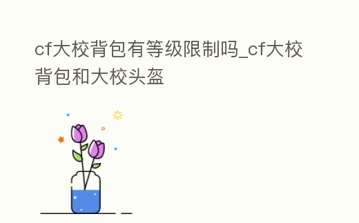 cf大校背包有等級限制嗎_cf大校背包和大校頭盔