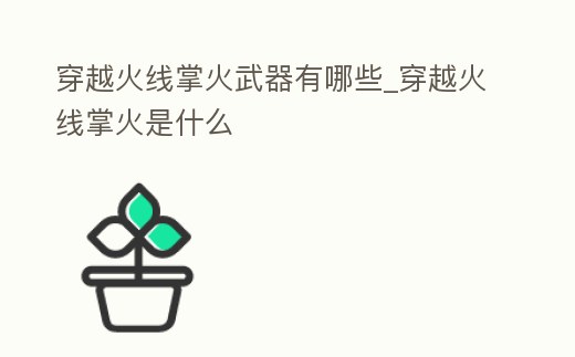 穿越火線掌火武器有哪些_穿越火線掌火是什么