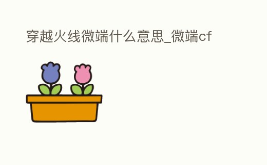 穿越火線微端什么意思_微端cf